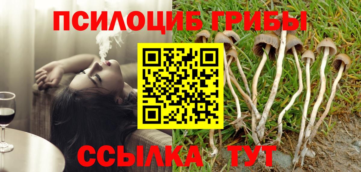 Галлюциногенные грибы Cubensis  Вход с VPN  наркотики  Камень-на-Оби 
